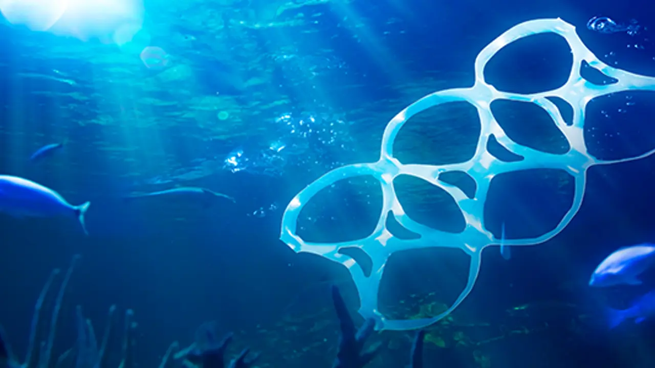 When did we forget about our ocean?