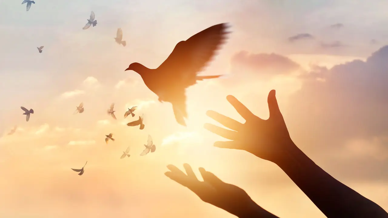 Interfaith Prayer Service to promote Justice and Treatment