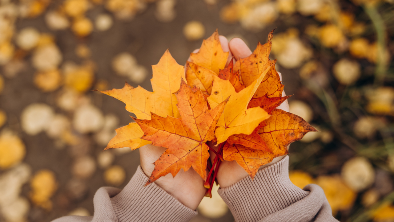 Mission in the Autumn season
