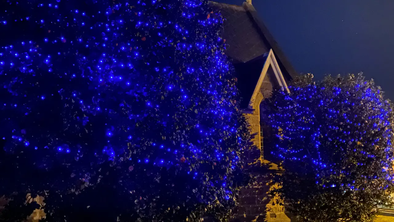 The Blue Tree Project – Starting Conversations