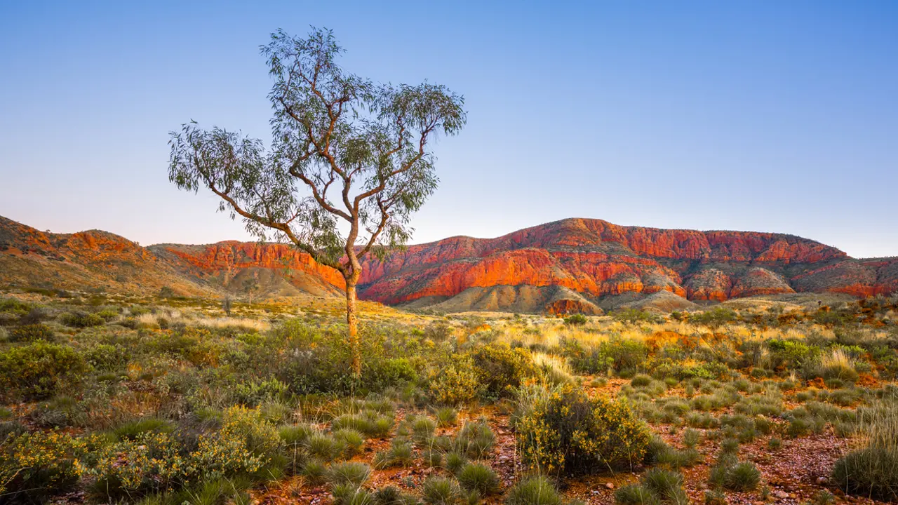 Pitt Street Uniting Church hosts Listening to Country series