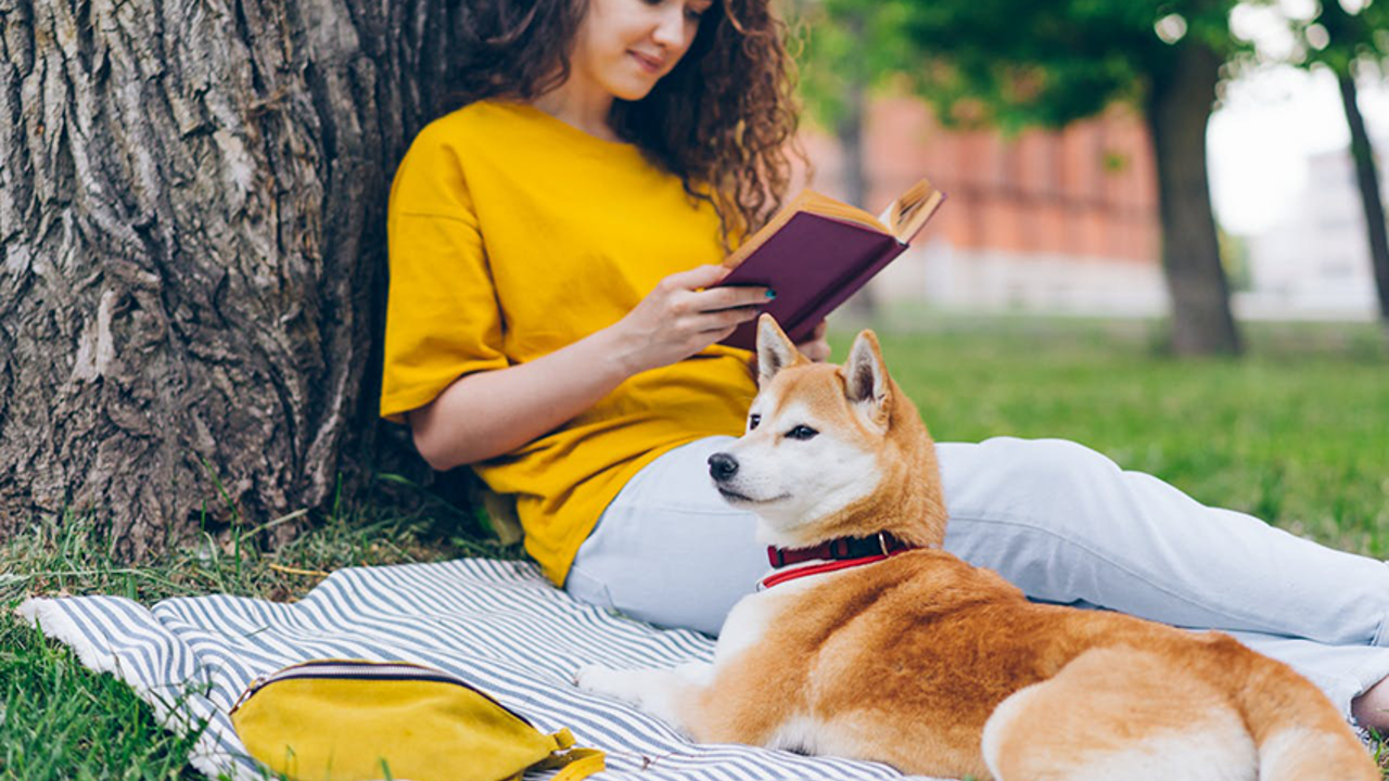 Four Ways to Live in the Power of the Spirit and Word