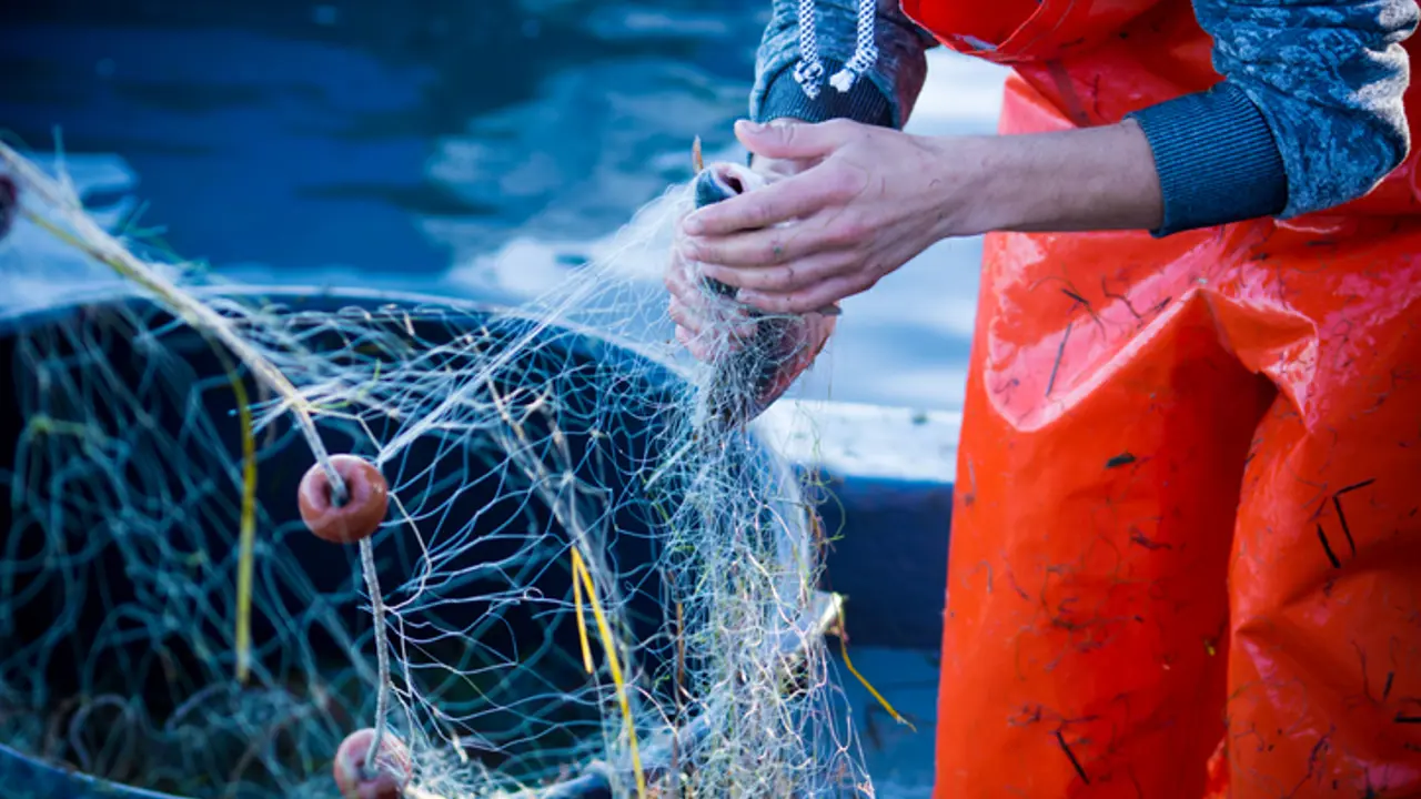 Sustainable seafood is the way this Easter