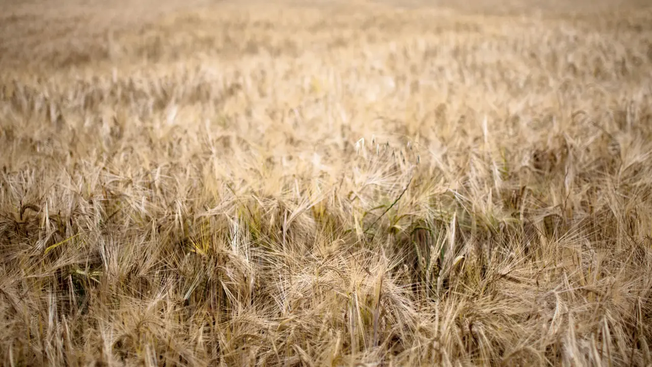 Budget “a missed opportunity” for famine relief