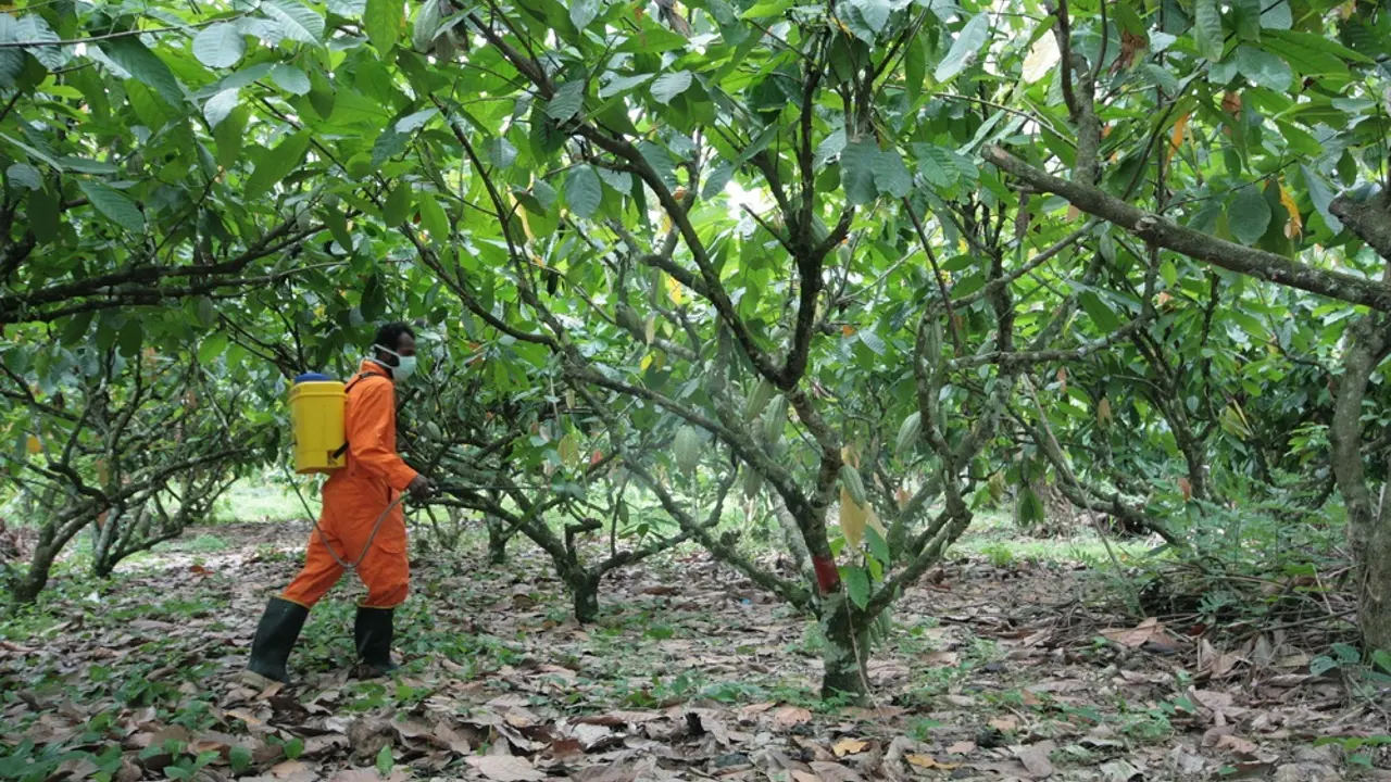 How Ethical Is Your Easter Chocolate?
