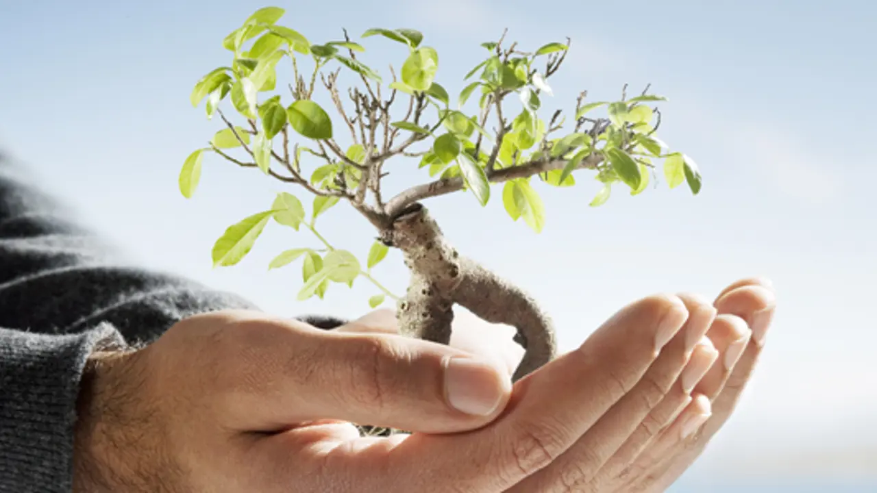 At the heart of stewardship