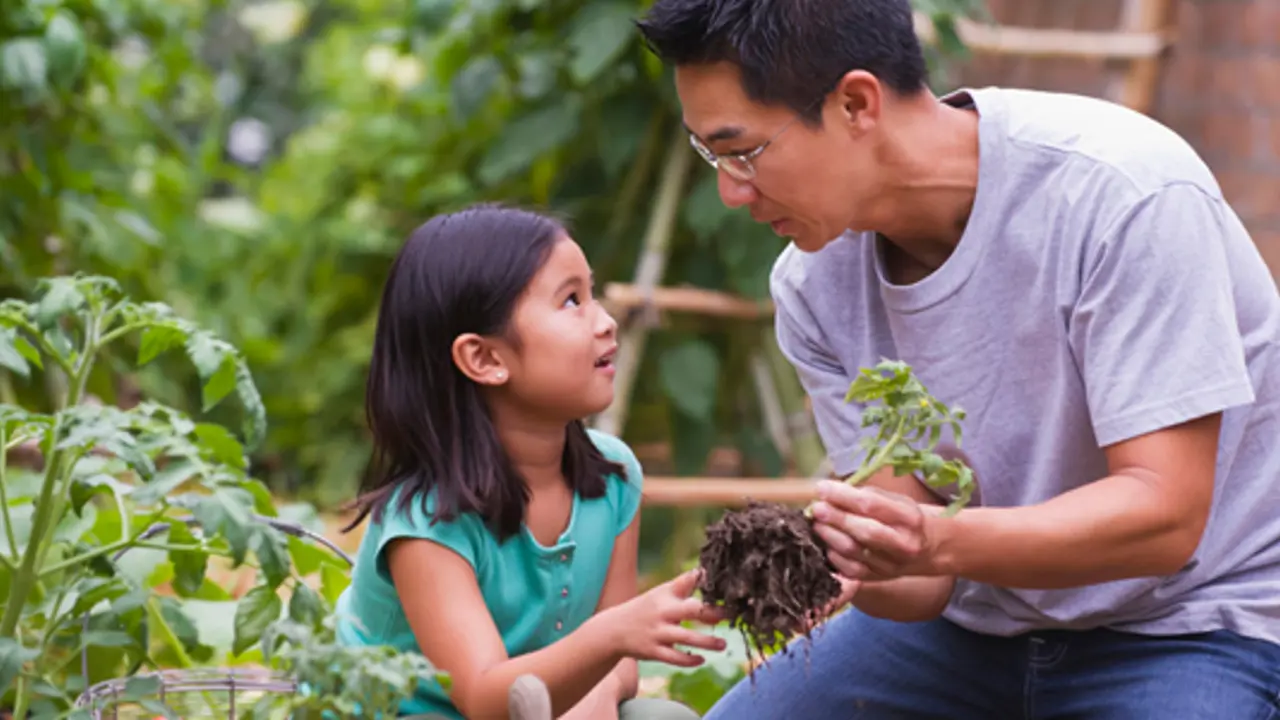 Fatherhood – the quiet revolution