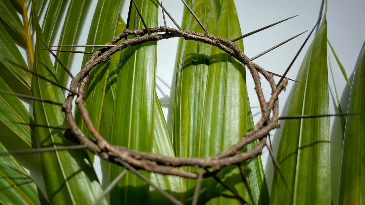 April: Are we willing to follow Jesus?