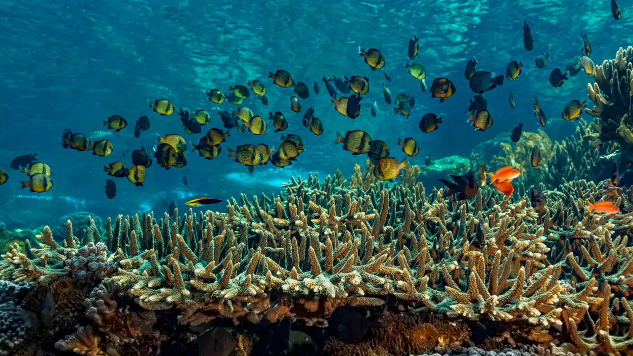 Biodiversity: A concern that is urgent and existential