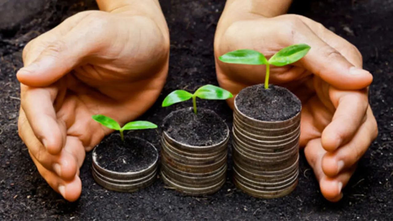 Award-winning fund champions a sustainable future