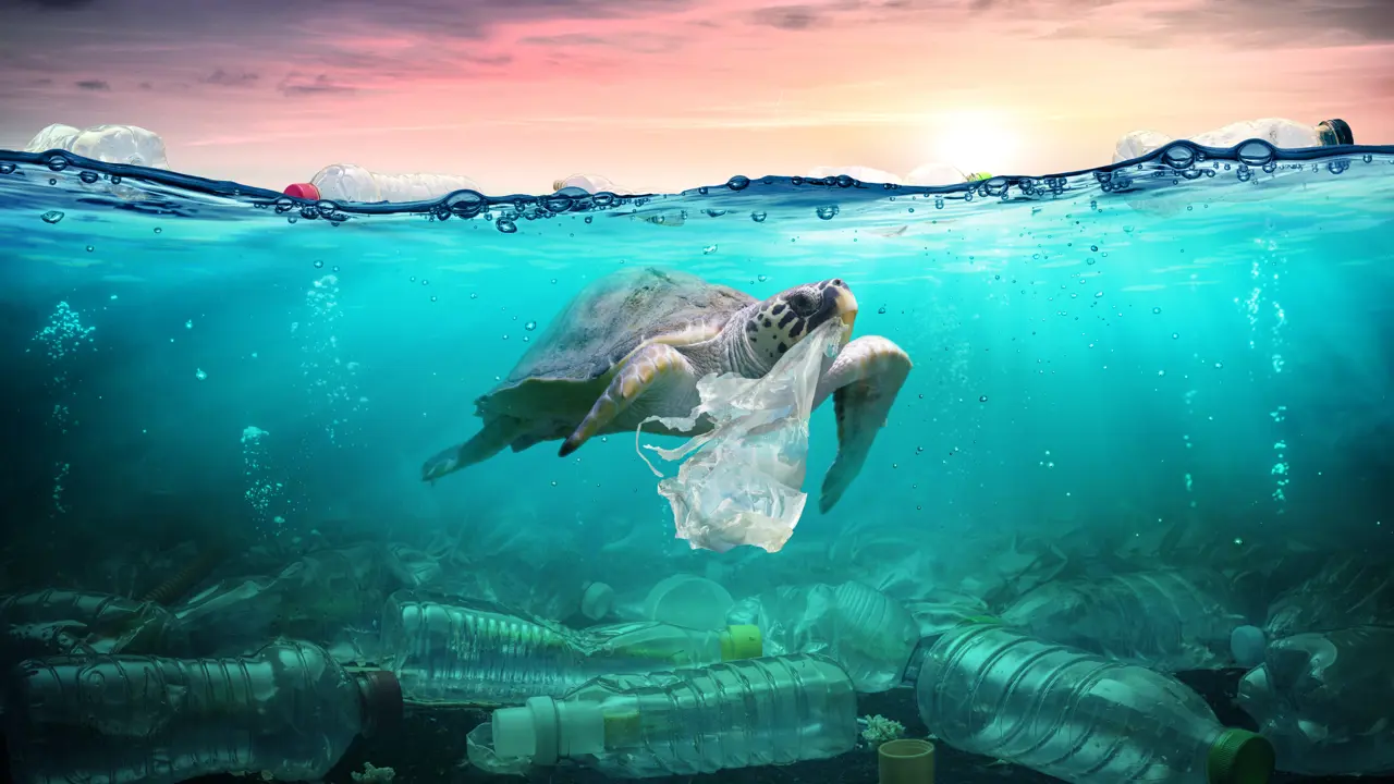 Do we still want single-use plastic?