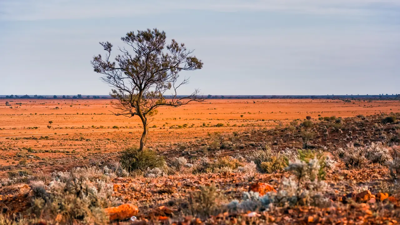 Saltbush a ‘Gathered in the Scattered Community’ experience