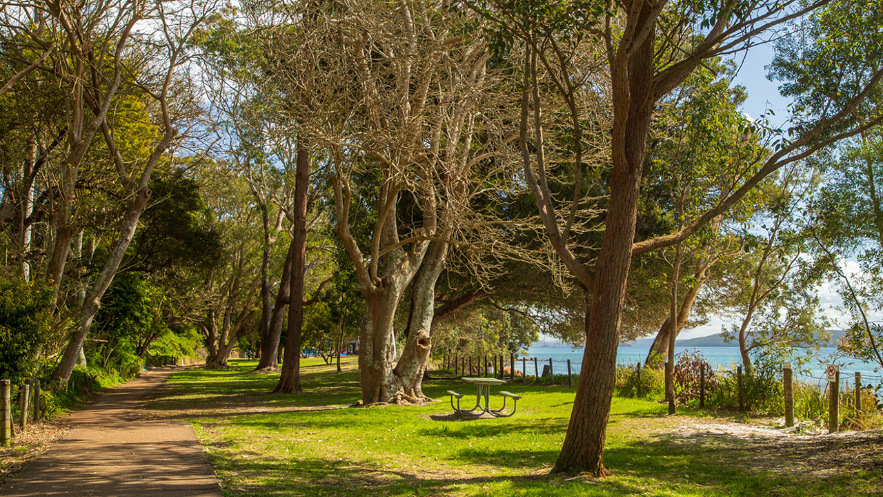 Shinrin-Yoku or the Art of Forest Bathing and Its Profound Benefits
