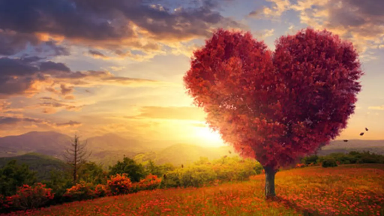 Women in Ministry retreat to provide contemplation, creativity, and community