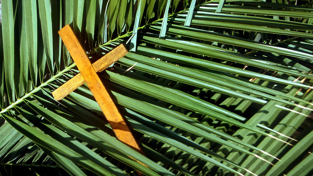 Palm Sunday Peace Rallies this weekend