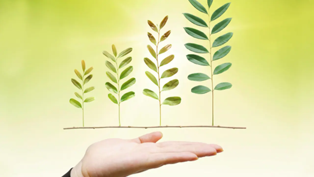 Strong returns from ethical investing