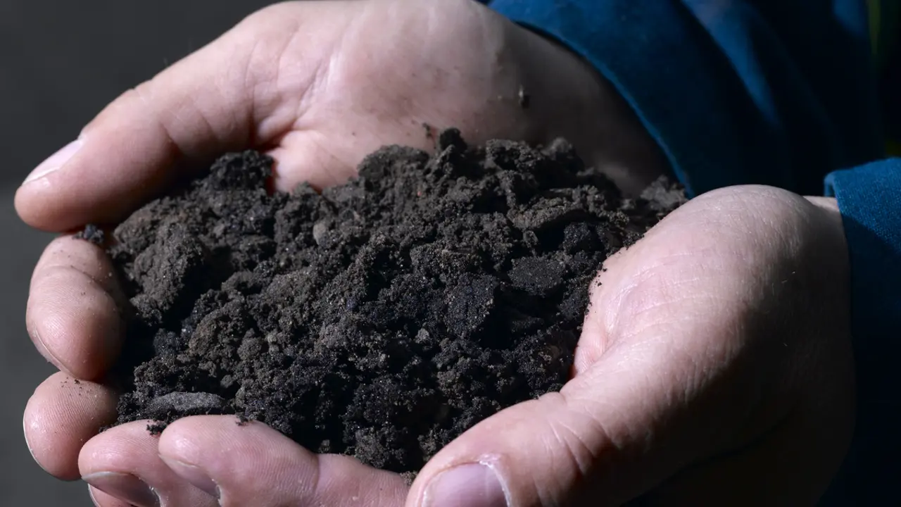 Soil: The hidden part of the ecological crisis