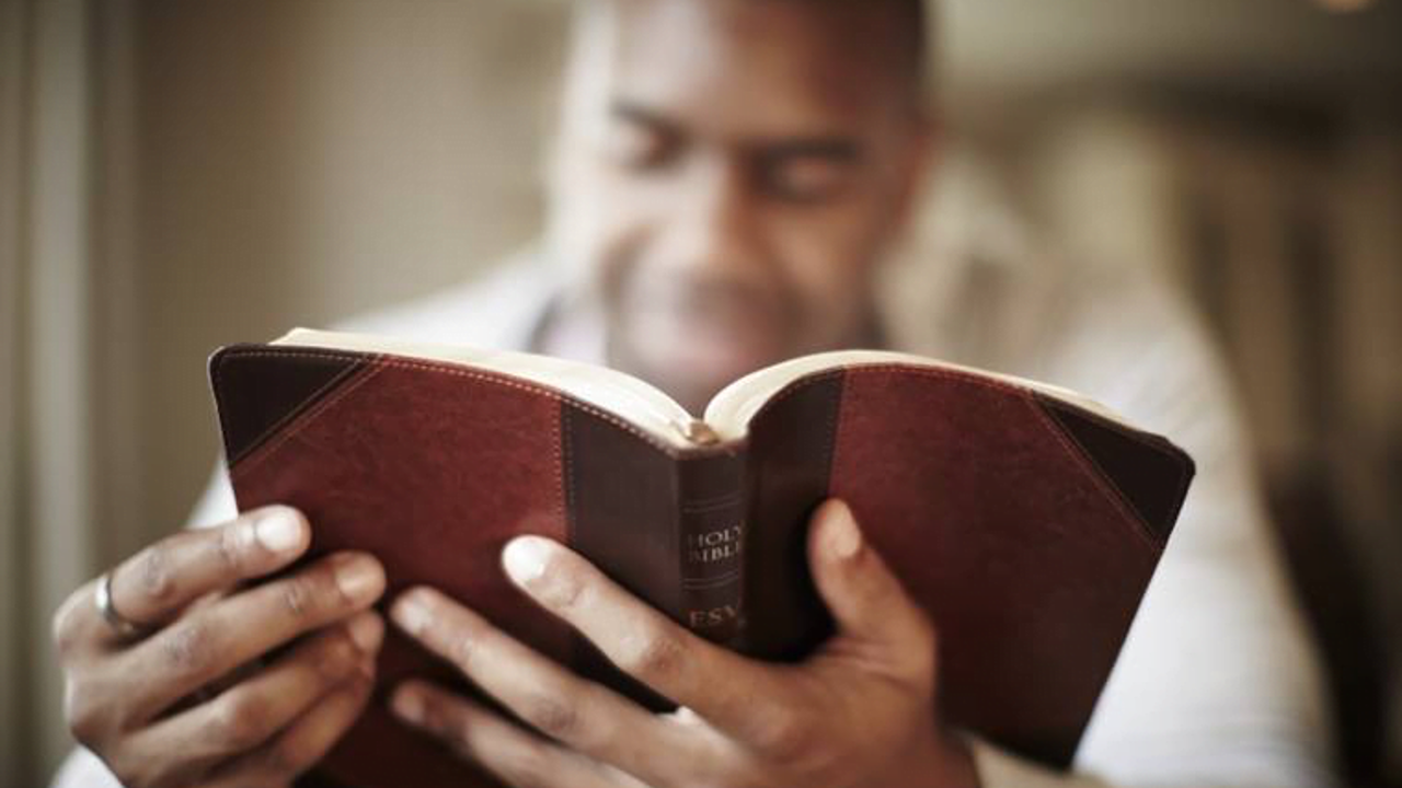 Hearing Scripture’s diverse voices