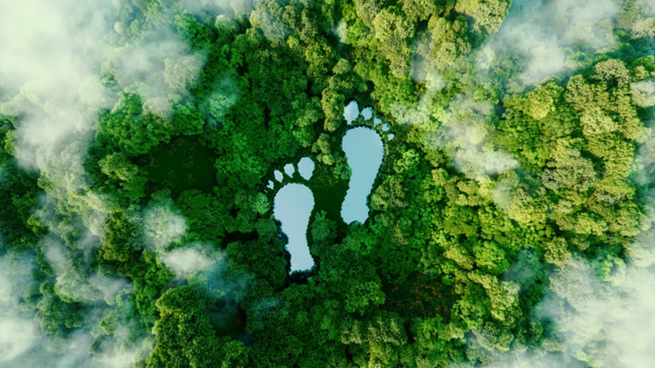Ways to improve your environmental footprint