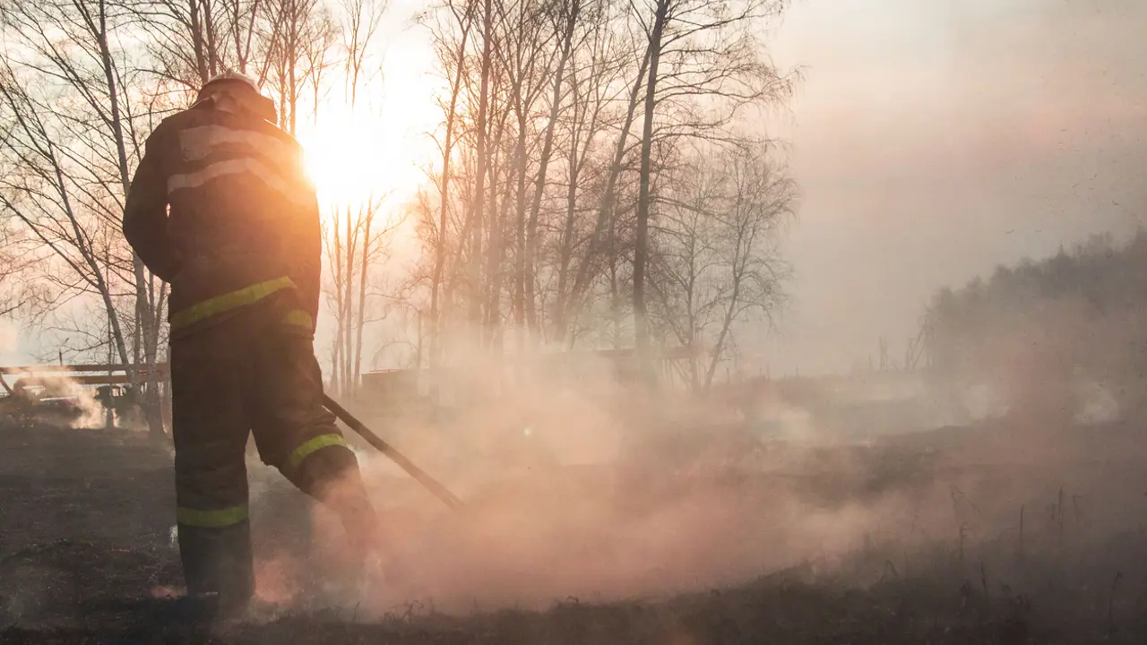 Recovery from fires-another perspective
